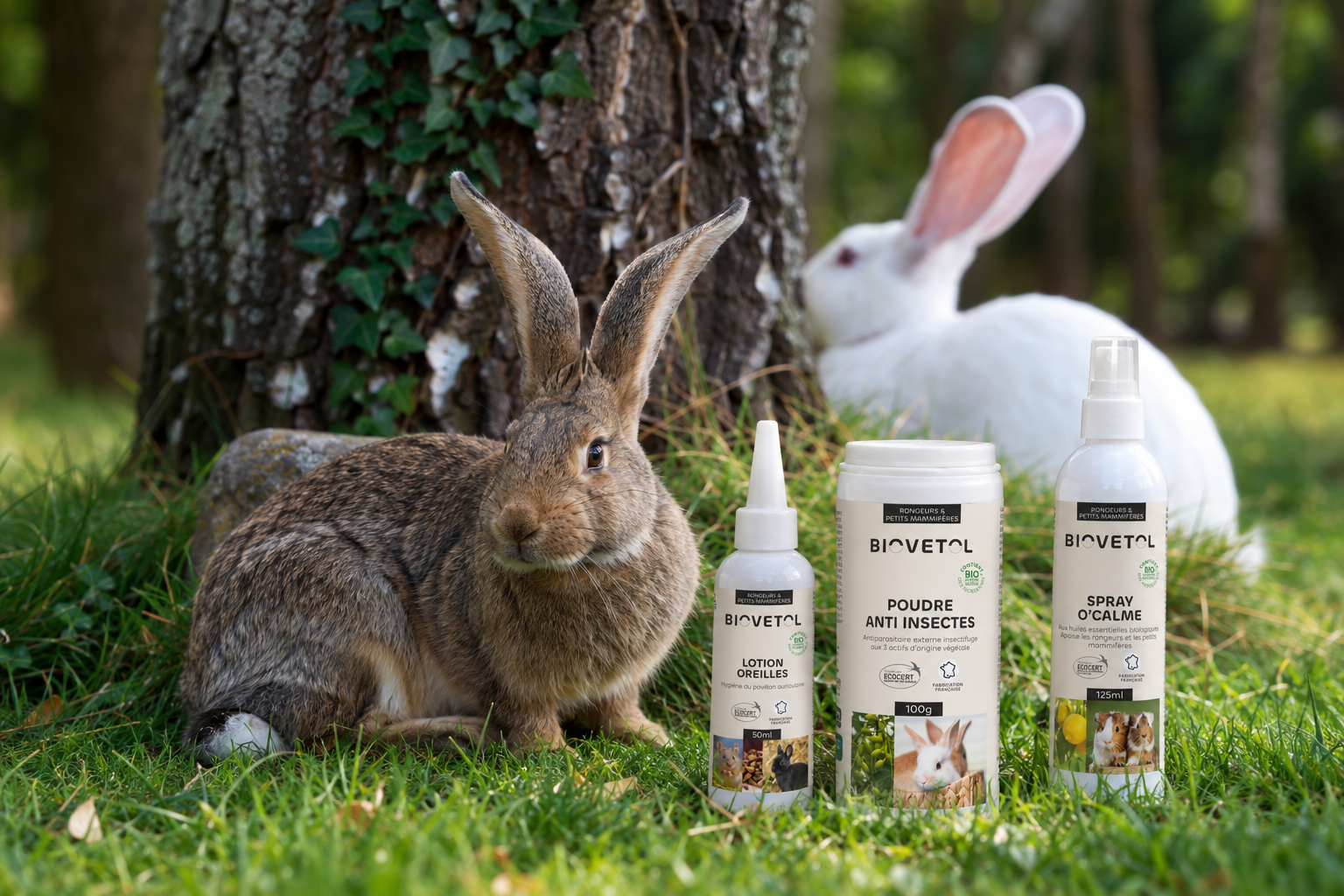 Produits d'hygiène et soin pour rongueurs